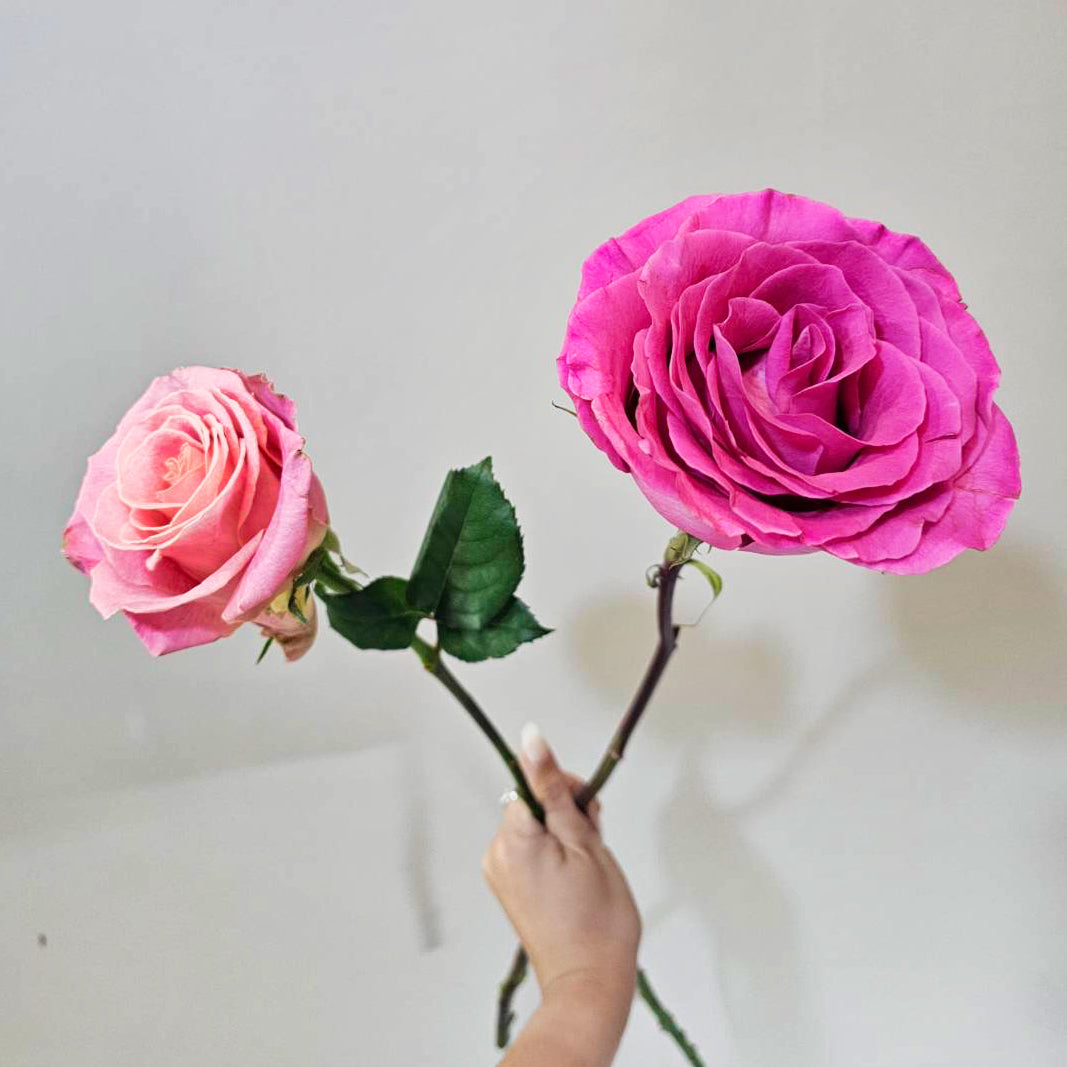 Thai New Year - Flowers