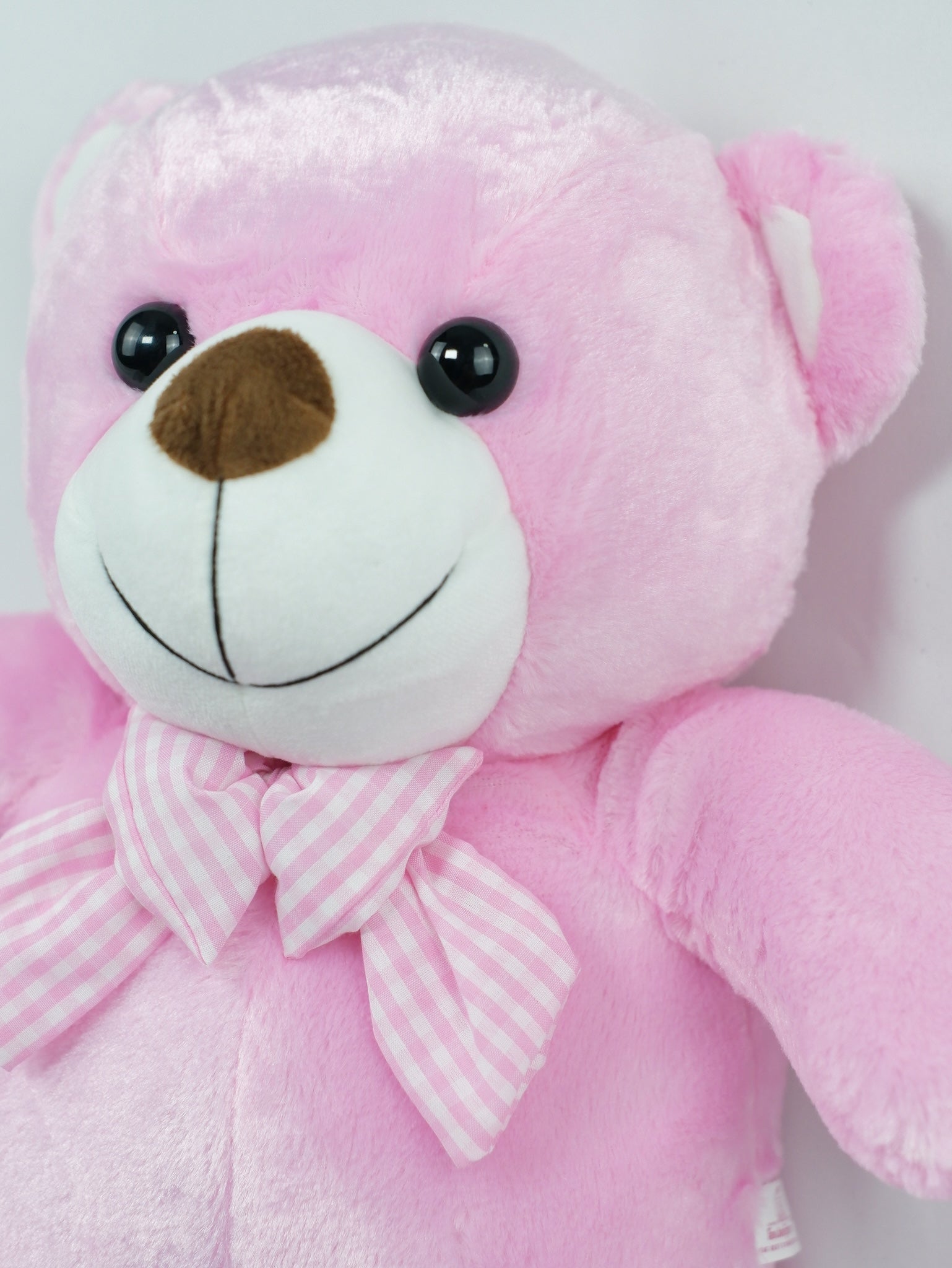 20in pink teddy bear - Farm-Sook Flowers & Coffee