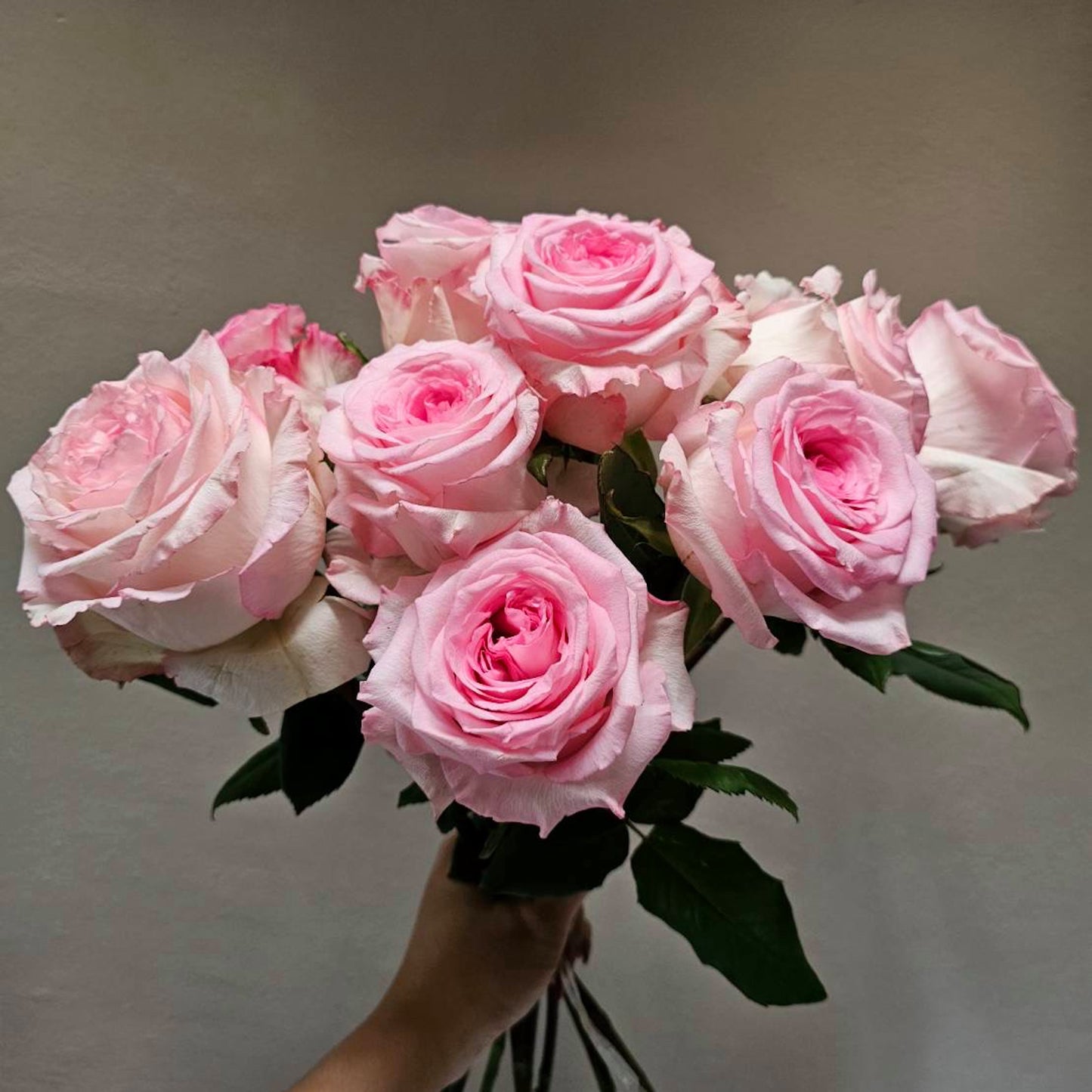 Pink  Rose - Farm-Sook Flowers & Coffee